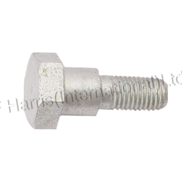 Torque Arm Bolt, Rear Brake, T160, 83-5549